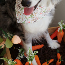 Load image into Gallery viewer, EASTER BUNNY