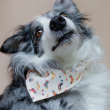 Load image into Gallery viewer, SOCK THIEF
