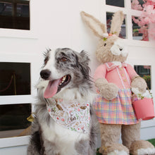 Load image into Gallery viewer, EASTER BUNNY