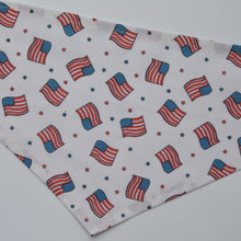 Load image into Gallery viewer, FLAGS