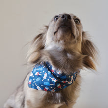 Load image into Gallery viewer, FRANKLIN