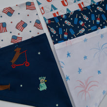 Load image into Gallery viewer, FIREWORKS
