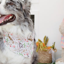 Load image into Gallery viewer, EASTER BUNNY