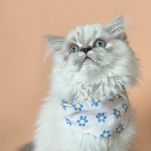 Load image into Gallery viewer, LAYLA
