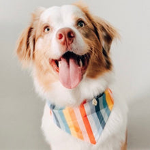 Load image into Gallery viewer, MOCHI