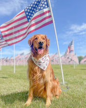Load image into Gallery viewer, FLAGS