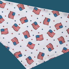 Load image into Gallery viewer, FLAGS