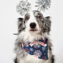 Load image into Gallery viewer, I HATE FIREWORKS
