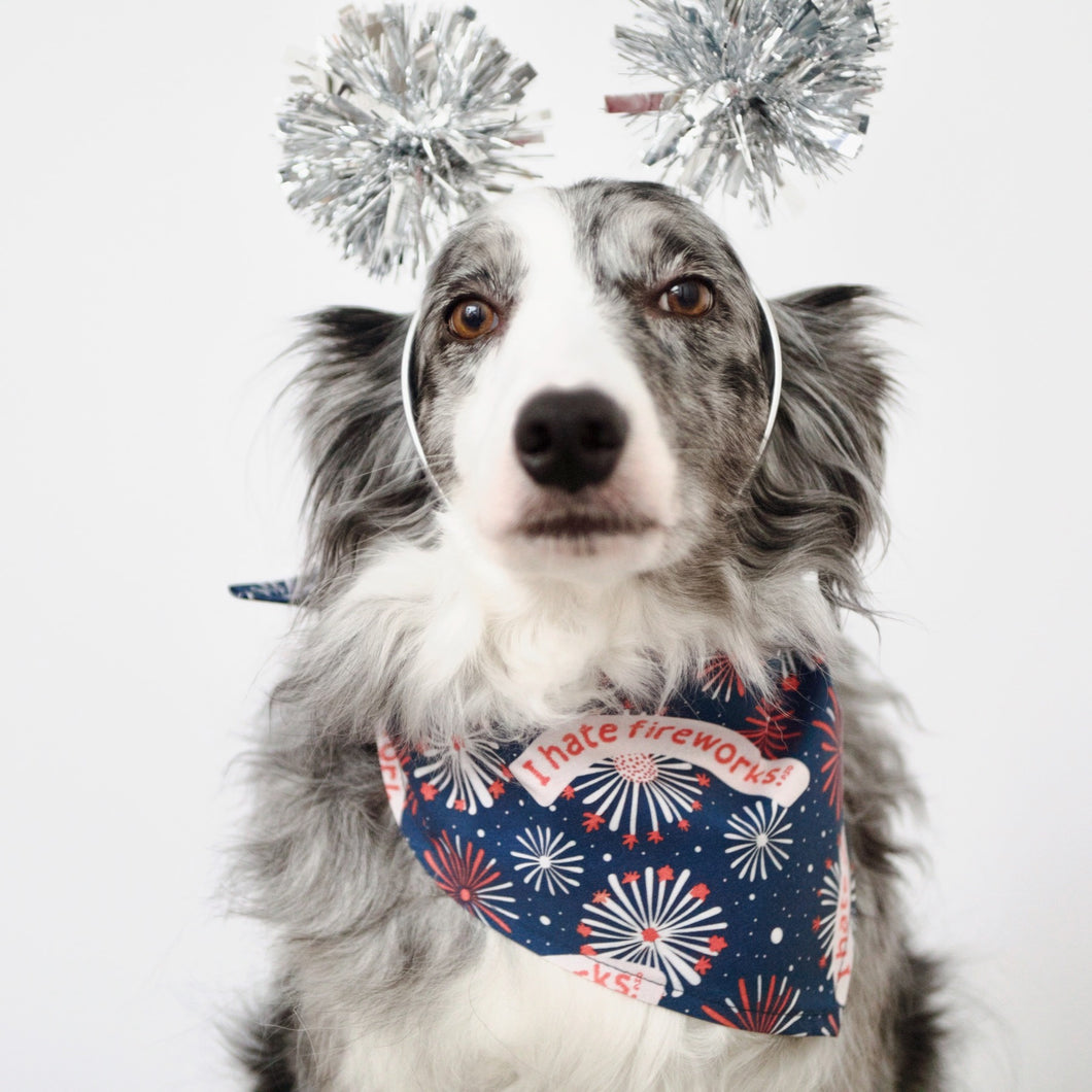 I HATE FIREWORKS
