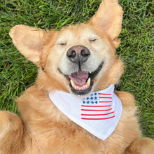 Load image into Gallery viewer, FLAG
