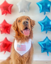 Load image into Gallery viewer, FLAG
