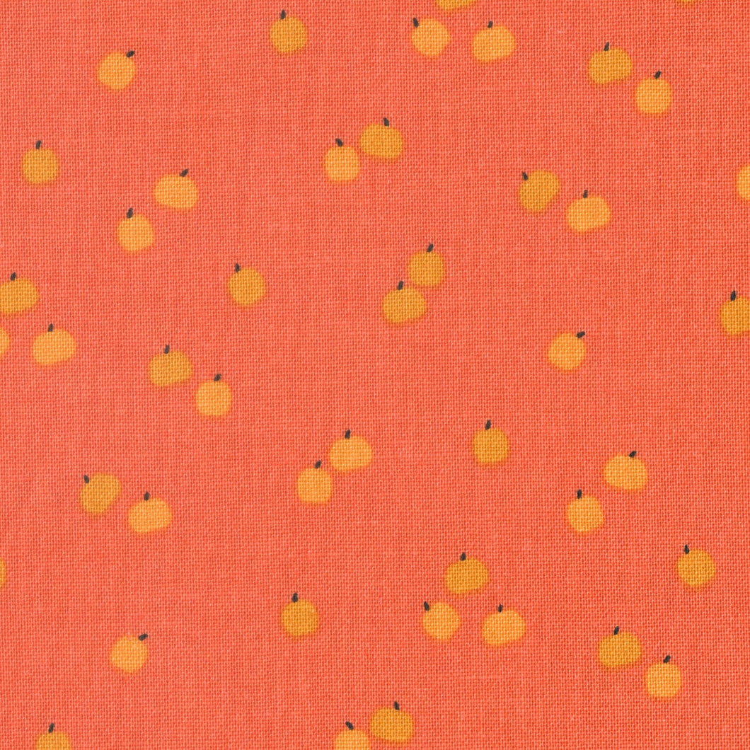 PUMPKIN PATCH