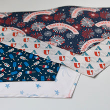 Load image into Gallery viewer, FIREWORKS
